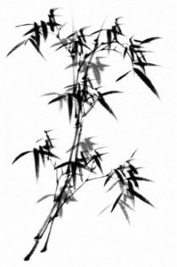 Thơ của Ngô Thuý Hà